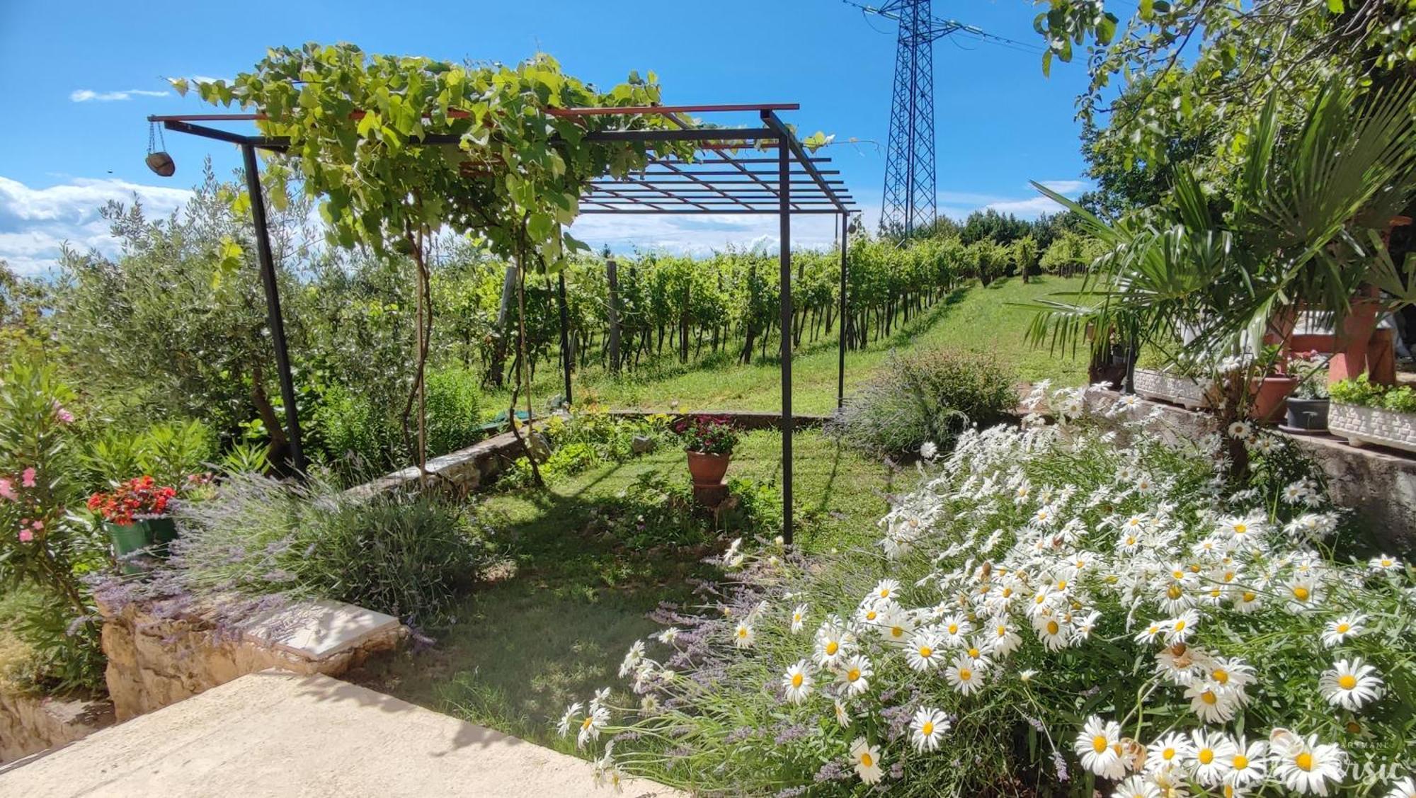 Apartman Persic Mošćenička Draga Exterior foto